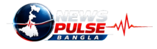 newspulsebangla.in